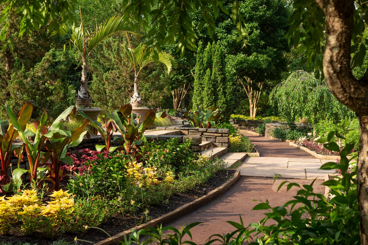 a beautiful garden